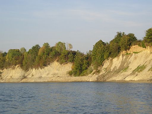 Sieniawa
