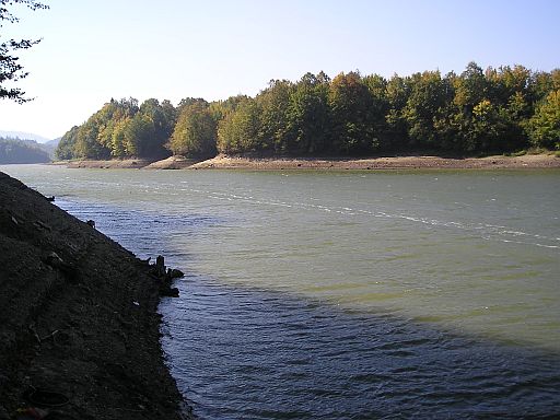 Sieniawa