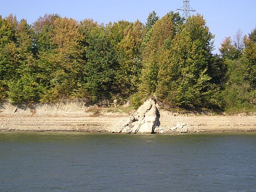 Sieniawa